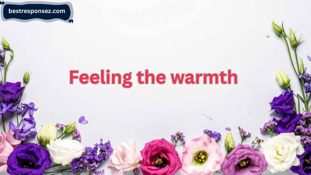 brown heart emoji meaning