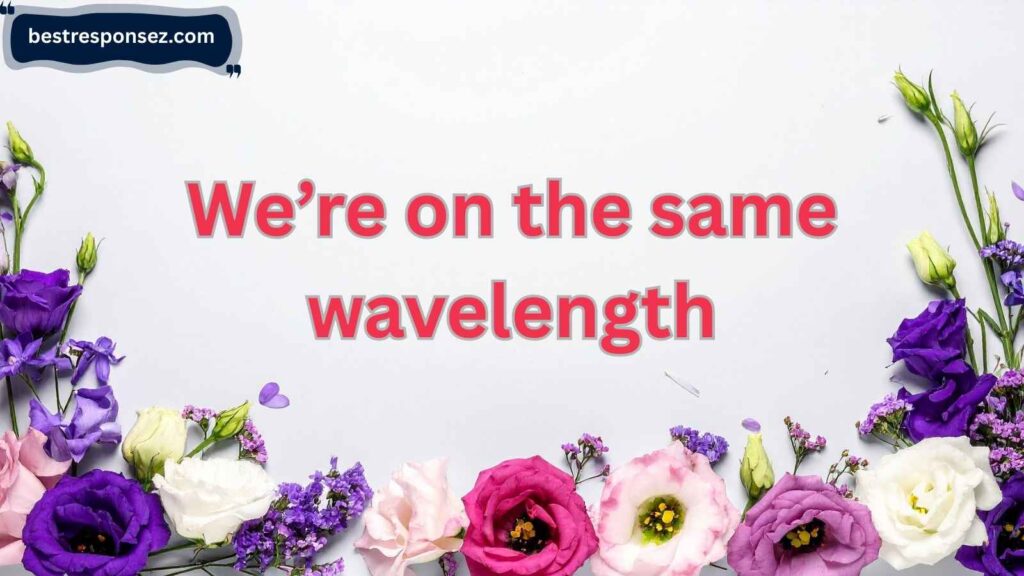 Casual and Friendly Responses to “IKR”