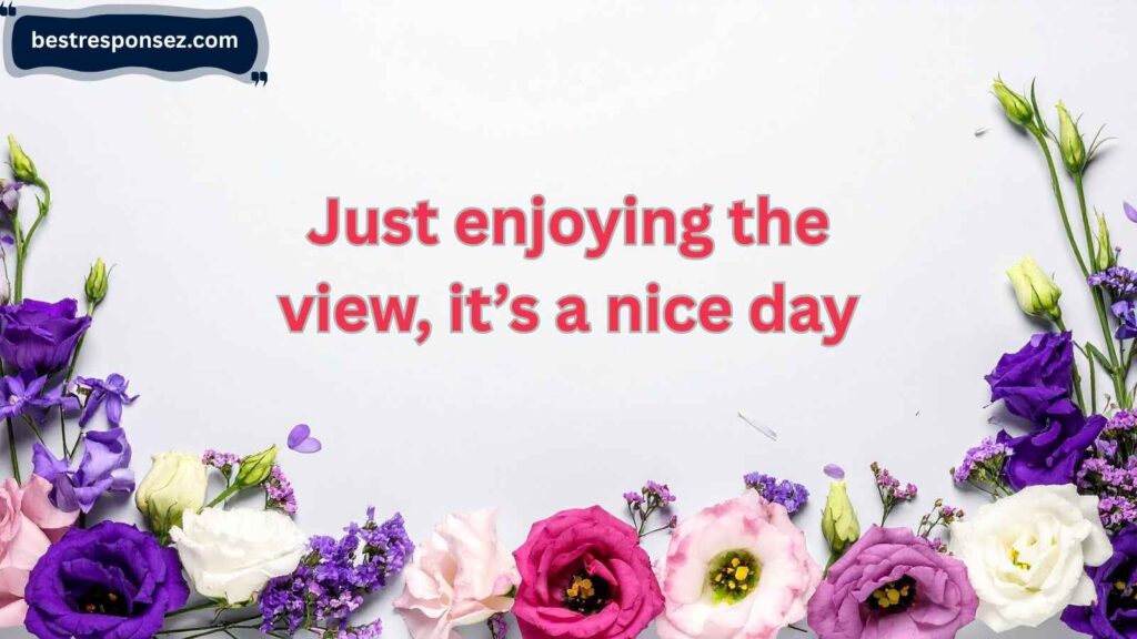 what are you looking at response