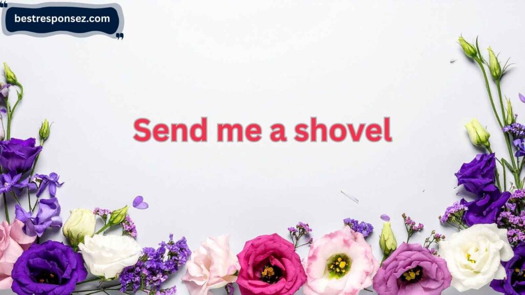 Funny and Witty Responses