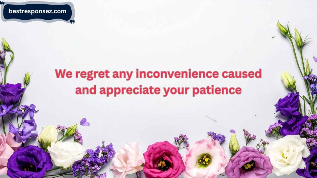 Professional and Polite Responses