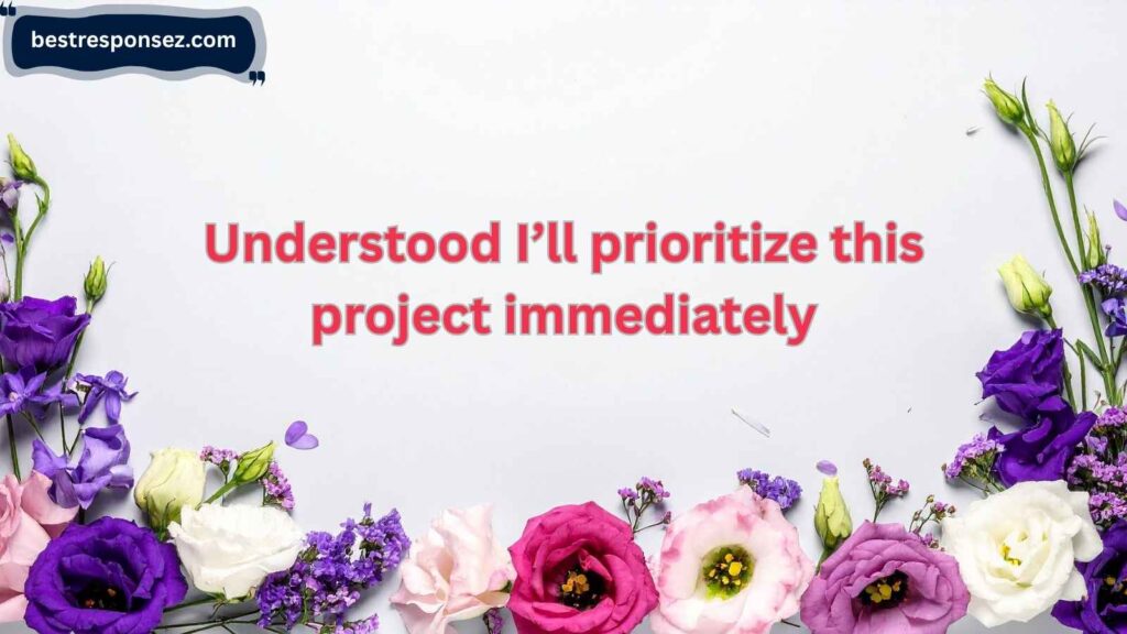 Professional/Polite Responses