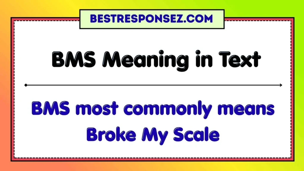 BMS Meaning in Text