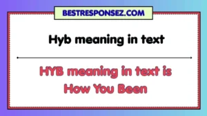 Hyb meaning in text