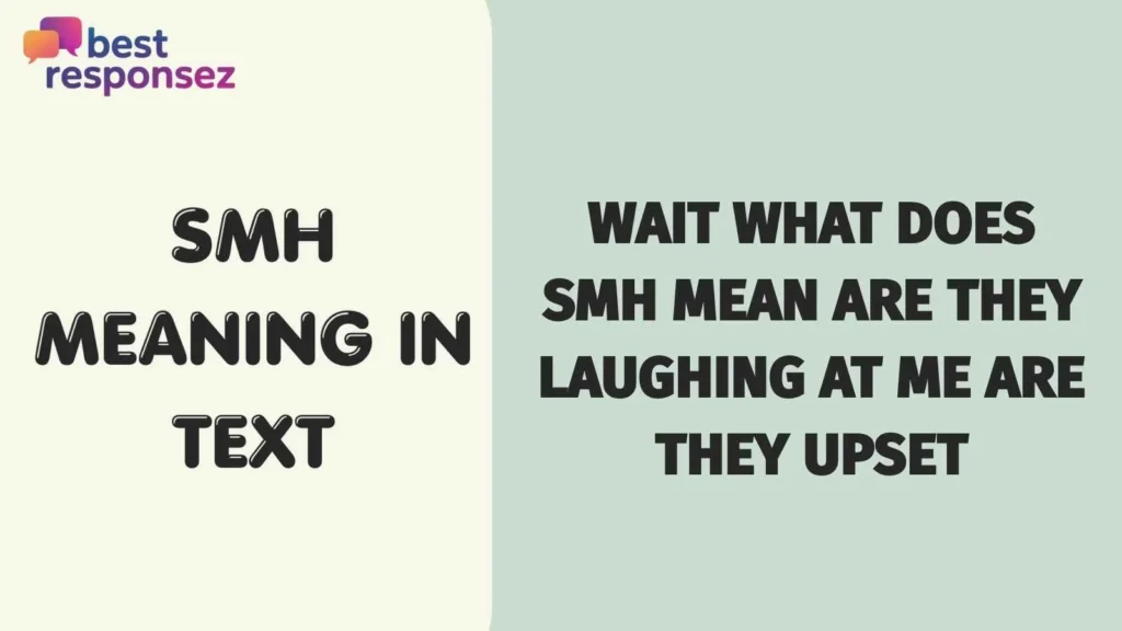 Smh meaning in text