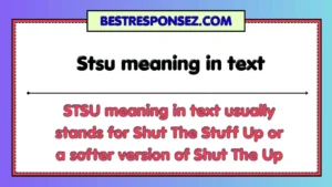 Stsu meaning in text