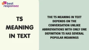 TS Meaning in Text