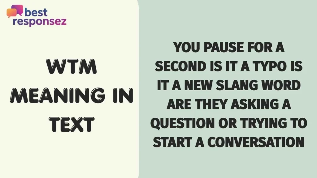 Wtm meaning in text